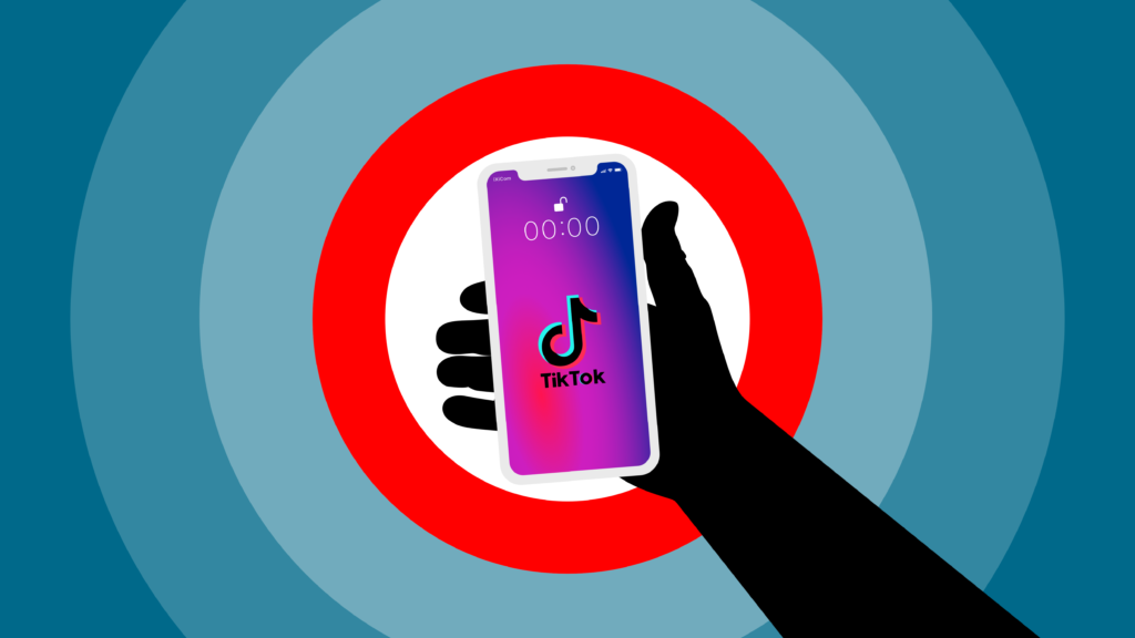 TikTok Marketing: How to Grow Fast and Earn Money on TikTok
