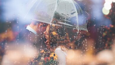 Every Zodiac Sign as a Type of Lover