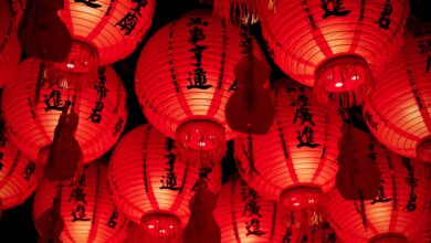 Love Is Coming For These 5 Chinese Zodiac Signs in 2026 — The Year of the Fire Horse Changes Everything