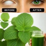 Perilla Leaf Green Juice